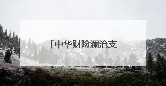 中华财险澜沧支公司：推动金融保险服务下沉乡村