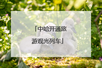 中哈开通旅游观光列车