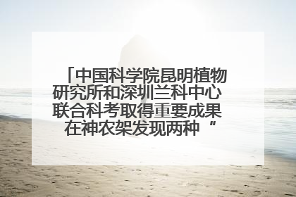 中国科学院昆明植物研究所和深圳兰科中心联合科考取得重要成果 在神农架发现两种“国保”级兰花