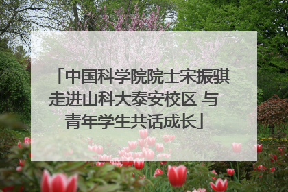 中国科学院院士宋振骐走进山科大泰安校区 与青年学生共话成长