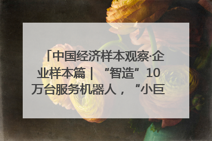 中国经济样本观察·企业样本篇｜“智造”10万台服务机器人，“小巨人”擎朗有大梦想
