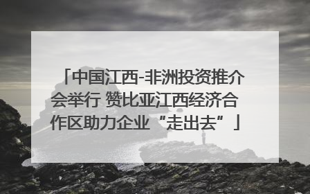 中国江西-非洲投资推介会举行 赞比亚江西经济合作区助力企业“走出去”
