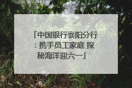 中国银行襄阳分行：携手员工家庭 探秘海洋迎六一
