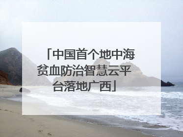 中国首个地中海贫血防治智慧云平台落地广西