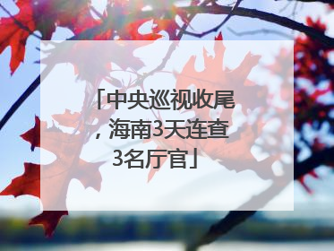 中央巡视收尾，海南3天连查3名厅官
