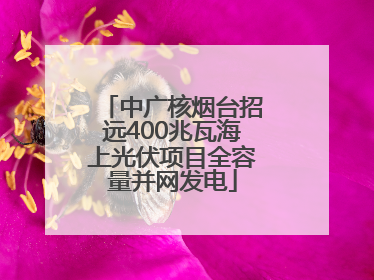 中广核烟台招远400兆瓦海上光伏项目全容量并网发电
