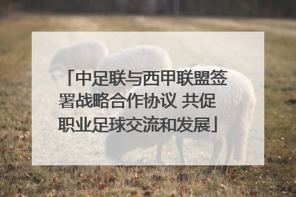 中足联与西甲联盟签署战略合作协议 共促职业足球交流和发展