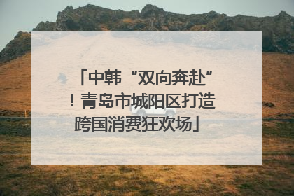 中韩“双向奔赴”！青岛市城阳区打造跨国消费狂欢场