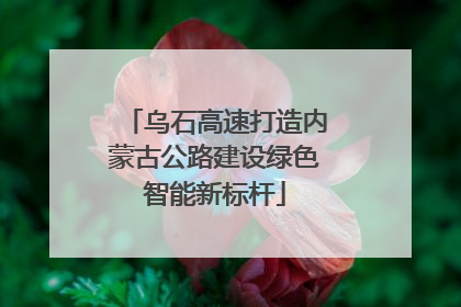 乌石高速打造内蒙古公路建设绿色智能新标杆
