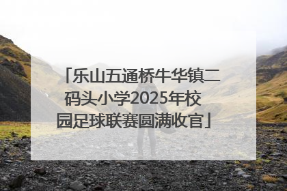 乐山五通桥牛华镇二码头小学2025年校园足球联赛圆满收官