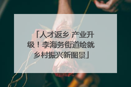 人才返乡 产业升级！李海务街道绘就乡村振兴新图景