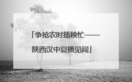 争抢农时插秧忙——陕西汉中夏播见闻