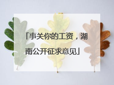 事关你的工资，湖南公开征求意见