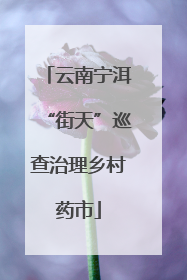 云南宁洱“街天”巡查治理乡村药市