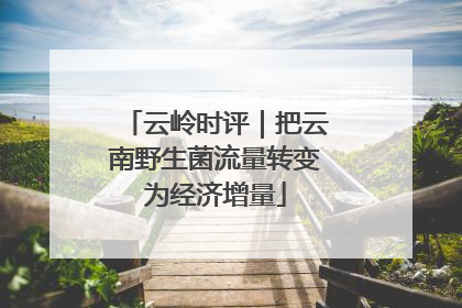 云岭时评｜把云南野生菌流量转变为经济增量
