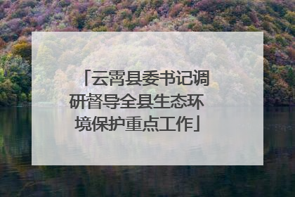 云霄县委书记调研督导全县生态环境保护重点工作