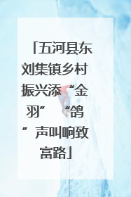 五河县东刘集镇乡村振兴添“金羽” “鸽”声叫响致富路