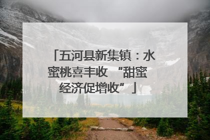 五河县新集镇：水蜜桃喜丰收 “甜蜜经济促增收”