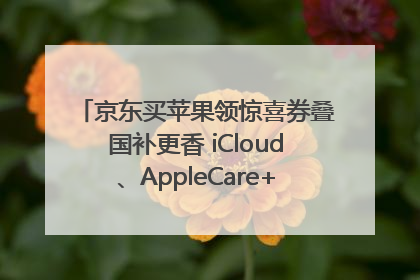 京东买苹果领惊喜券叠国补更香 iCloud、AppleCare+服务限时低至85折
