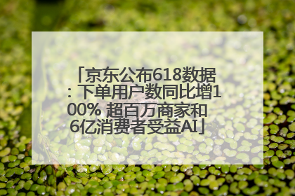 京东公布618数据：下单用户数同比增100% 超百万商家和6亿消费者受益AI