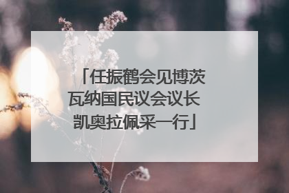 任振鹤会见博茨瓦纳国民议会议长凯奥拉佩采一行