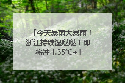今天暴雨大暴雨！浙江持续湿哒哒！即将冲击35℃+