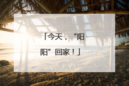 今天，“阳阳”回家！
