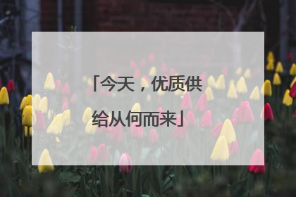 今天，优质供给从何而来