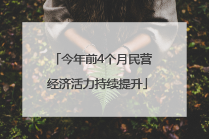 今年前4个月民营经济活力持续提升