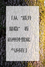 从“质升量稳” 看宿州外贸底气何在