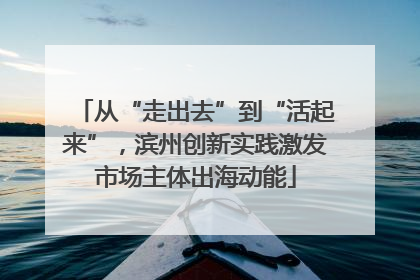 从“走出去”到“活起来”，滨州创新实践激发市场主体出海动能