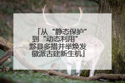 从“静态保护”到“动态利用” 黟县多措并举焕发徽派古建新生机