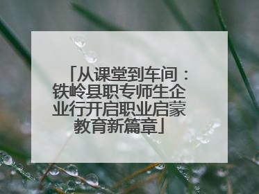 从课堂到车间：铁岭县职专师生企业行开启职业启蒙教育新篇章