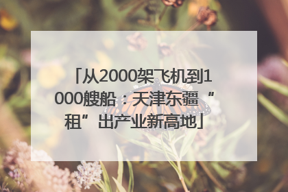 从2000架飞机到1000艘船：天津东疆“租”出产业新高地