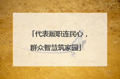 代表履职连民心，群众智慧筑家园