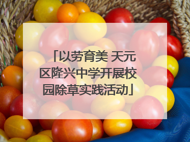 以劳育美 天元区隆兴中学开展校园除草实践活动