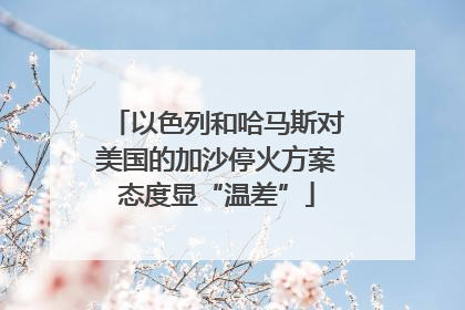 以色列和哈马斯对美国的加沙停火方案态度显“温差”