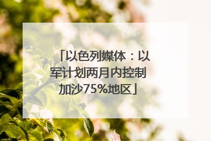 以色列媒体：以军计划两月内控制加沙75%地区