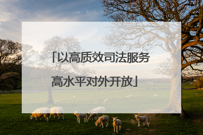 以高质效司法服务高水平对外开放