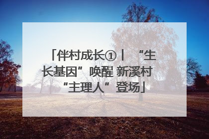 伴村成长①丨 “生长基因”唤醒 新溪村“主理人”登场