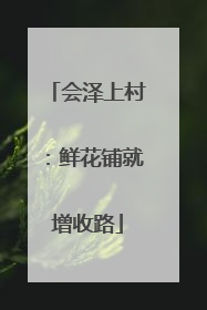 会泽上村：鲜花铺就增收路