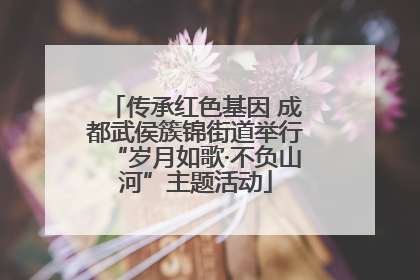 传承红色基因 成都武侯簇锦街道举行“岁月如歌·不负山河”主题活动