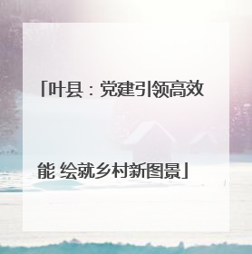 叶县：党建引领高效能 绘就乡村新图景
