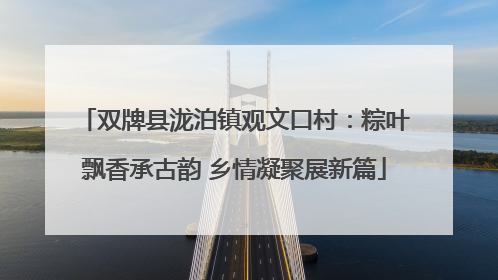 双牌县泷泊镇观文口村：粽叶飘香承古韵 乡情凝聚展新篇