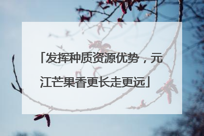 发挥种质资源优势，元江芒果香更长走更远