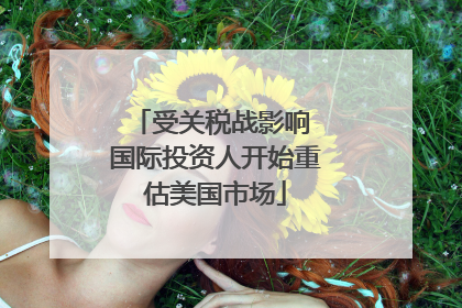 受关税战影响 国际投资人开始重估美国市场
