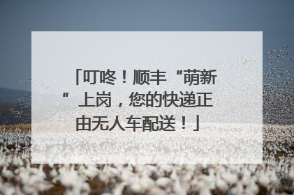 叮咚！顺丰“萌新”上岗，您的快递正由无人车配送！
