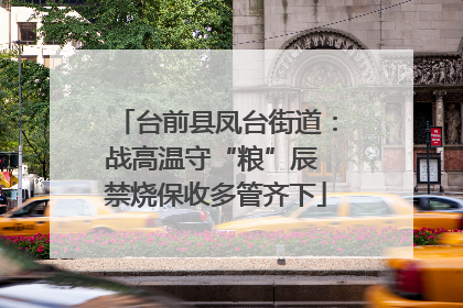 台前县凤台街道：战高温守“粮”辰 禁烧保收多管齐下