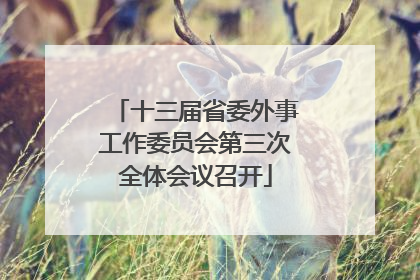 十三届省委外事工作委员会第三次全体会议召开