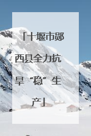 十堰市郧西县全力抗旱“稳”生产